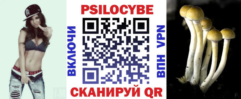 Псилоцибиновые грибы мицелий Северо-Курильск
